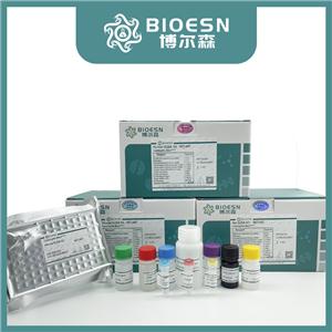 大鼠白蛋白(ALB) ELISA Kit