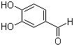 CAS 登錄號(hào)：139-85-5, 3,4-二羥基苯甲醛