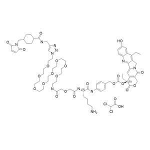 CL2A-SN38