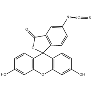 異硫氰酸熒光素酯