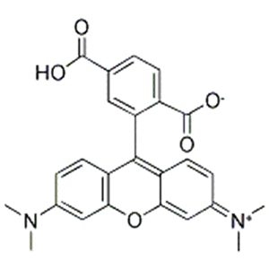 5-羧基四甲基羅丹明