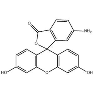 6-氨基熒光素