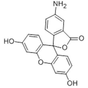 5(6)-氨基熒光素