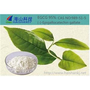 表沒(méi)食子兒茶素EGC