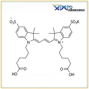 Sulfo-Cyanine3 Dicarboxylic Acid