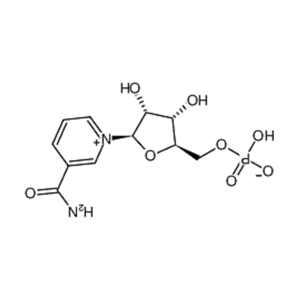 β-煙酰胺單核苷酸