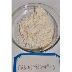 2,5-二氯-N-[2-(二甲基亞膦酰)苯基]-4-嘧啶胺