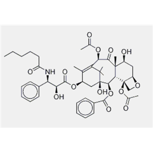 紫杉醇EP雜質(zhì)C3，4-脫氫紫杉醇C