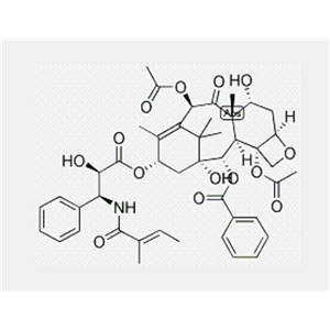 紫杉醇EP雜質(zhì)D