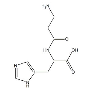 木瓜蛋白酶