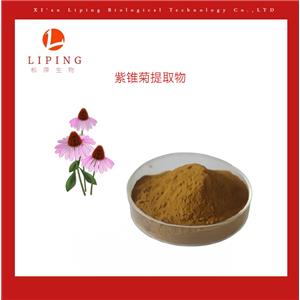 櫟萍生物供應(yīng)紫錐菊提取物 紫錐菊多酚4%-12%