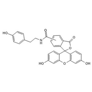 熒光素酪胺