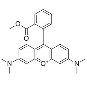 四甲基羅丹明甲酯