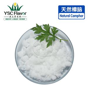 天然樟腦 右旋體樟腦原料 量大從優(yōu)