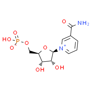 β-煙酰胺單核苷酸；NMN；