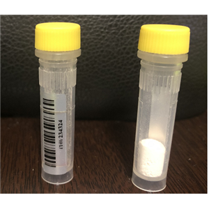 Pyrazolo[1,5-a]pyrazin-4(5H)-one, 6,7-dihydro-2-(phenylmethoxy)-