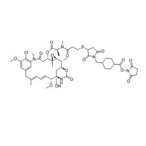 SMCC-DM1