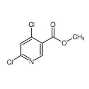 4,6-二氯煙酸甲酯