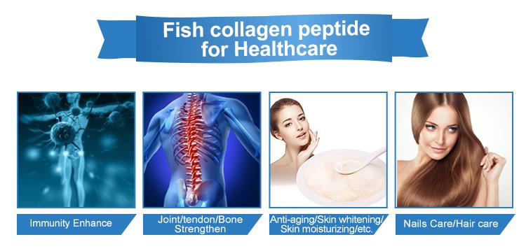 Fish callagen peptide for healthcare.jpg