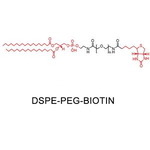 二硬脂?；字Ｒ掖及?聚乙二醇-生物素