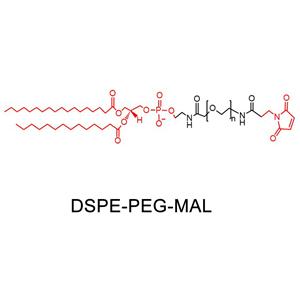 二硬脂酰磷脂酰乙醇胺-聚乙二醇-馬來(lái)酰亞胺