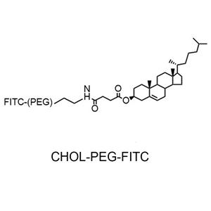 膽固醇-聚乙二醇-熒光素