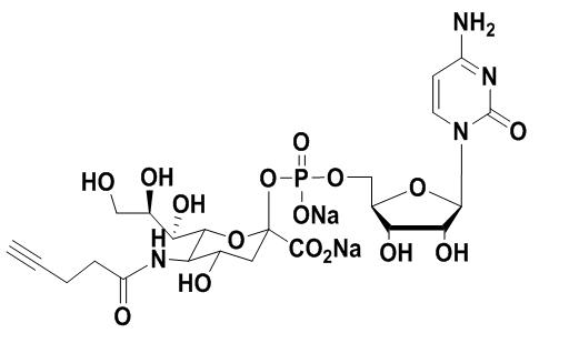 CMP-C9-Azido-Sialic Acid，5'-單磷酸胞苷修飾疊氮糖