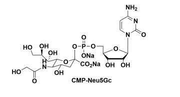 CMP-C9-Azido-Sialic Acid，5'-單磷酸胞苷修飾疊氮糖