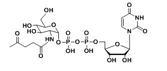 UDP-2-carbonyl-GlcNAc羧基修飾尿苷二磷酸