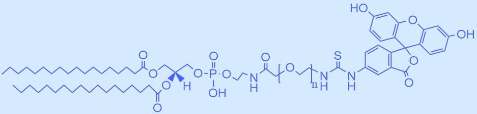 二硬脂?；字Ｒ掖及肪垡叶紵晒馑?jpg