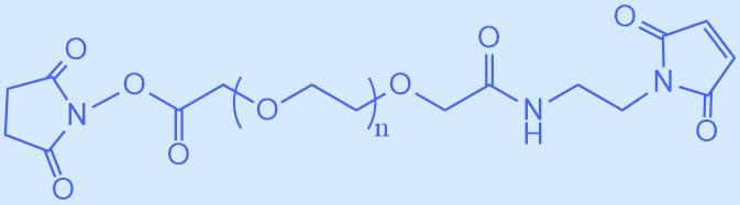 馬來酰亞胺-聚乙二醇-活性酯.jpg