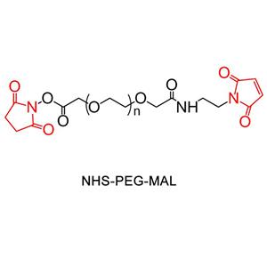 馬來(lái)酰亞胺-聚乙二醇-活性脂  N-羥基琥珀酰亞胺
