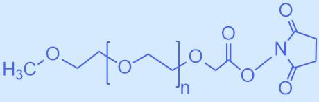 甲氧基聚乙二醇-活性脂.jpg