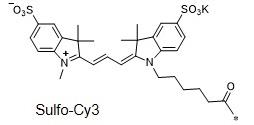 水溶性CY3  Sulfo-Cyanine3，磺化Cy3，sulfo-Cy3