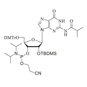 RG-TBDMS亞磷酰胺單體