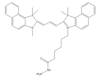 Cy3.5-hydrazide,Cy3.5-HZ,Cy3.5-酰肼