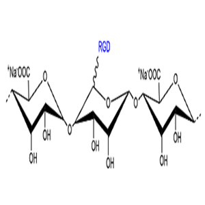 RGD-海藻酸