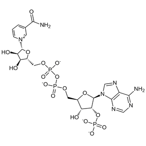 β-煙酰胺腺嘌呤二核苷酸磷酸二鈉鹽