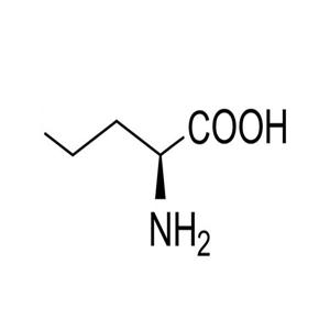 L-正纈氨酸