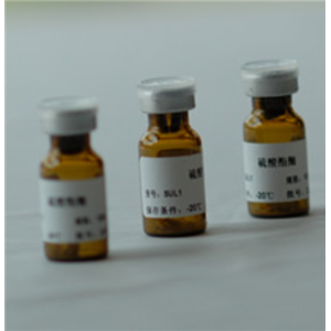 臨床研究、臨床前研究