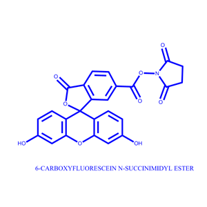 6-羧基熒光素琥珀酰亞胺醚