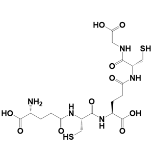 Phytochelatin 2重金屬結(jié)合肽