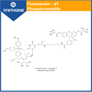 5'-Dimethoxytrityloxy-5-[N-((3', 6'-dipivaloylfluoresceinyl)-aminohexyI)-3-acrylimido]-2'-deoxyuridine 3'-[(2-cyanoethyl)-N, N-diisopropyD]-phosphoramidite