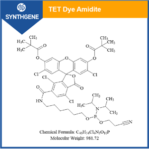 5'-Tetrachloro-Fluorescein Phosphoramidite); 6-(4,7,2', 7'-Tetrachloro-3', 6'-dipivaloylfluoresceinyl-6-carboxamido)-hexyl-1-O-[(2-cyanoethyI)-(N, N-diisopropyD)]-phosphoramidite