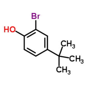 2-溴-4-叔丁基苯酚