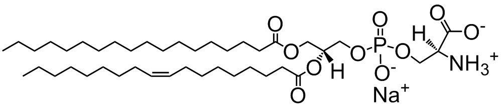 磷脂酰絲氨酸（PS）詳情圖片