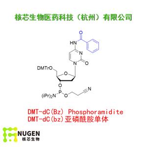 DMT-dC(bz)亞磷酰胺單體  工廠大貨