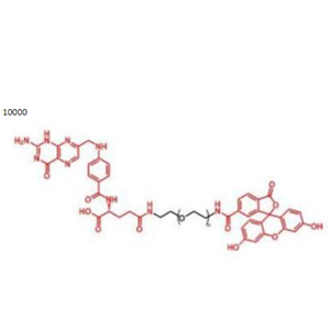葉酸PEG熒光素，熒光素聚乙二醇葉酸
