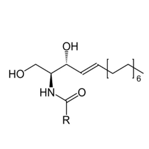 神經(jīng)酰胺