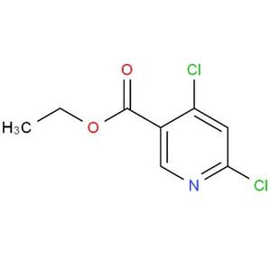 4,6-二氯煙酸乙酯